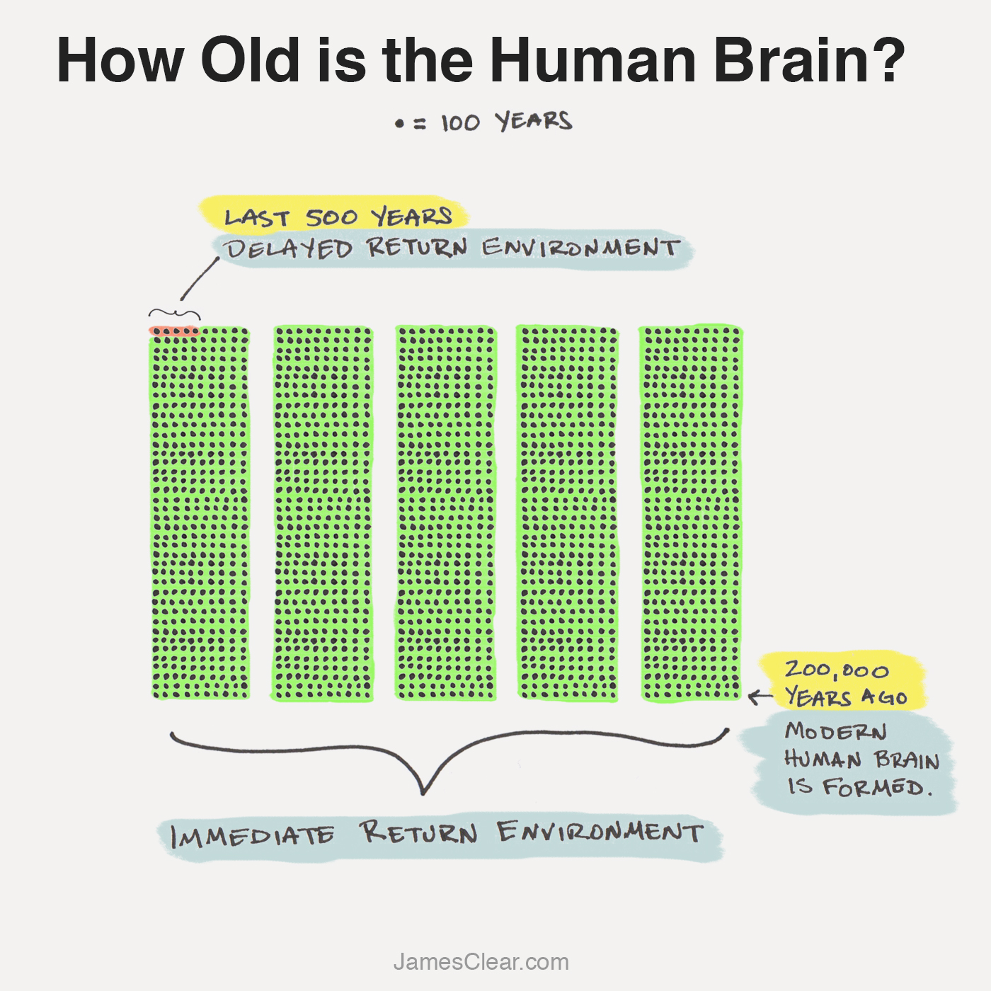 Evolution of the Human Brain (Evolution of Anxiety)